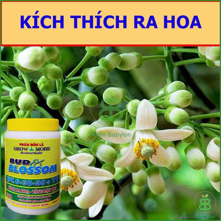 Phân Bón Lá 6-30-30 Growmore Kích Hoa - Phát Triển Bộ Rễ