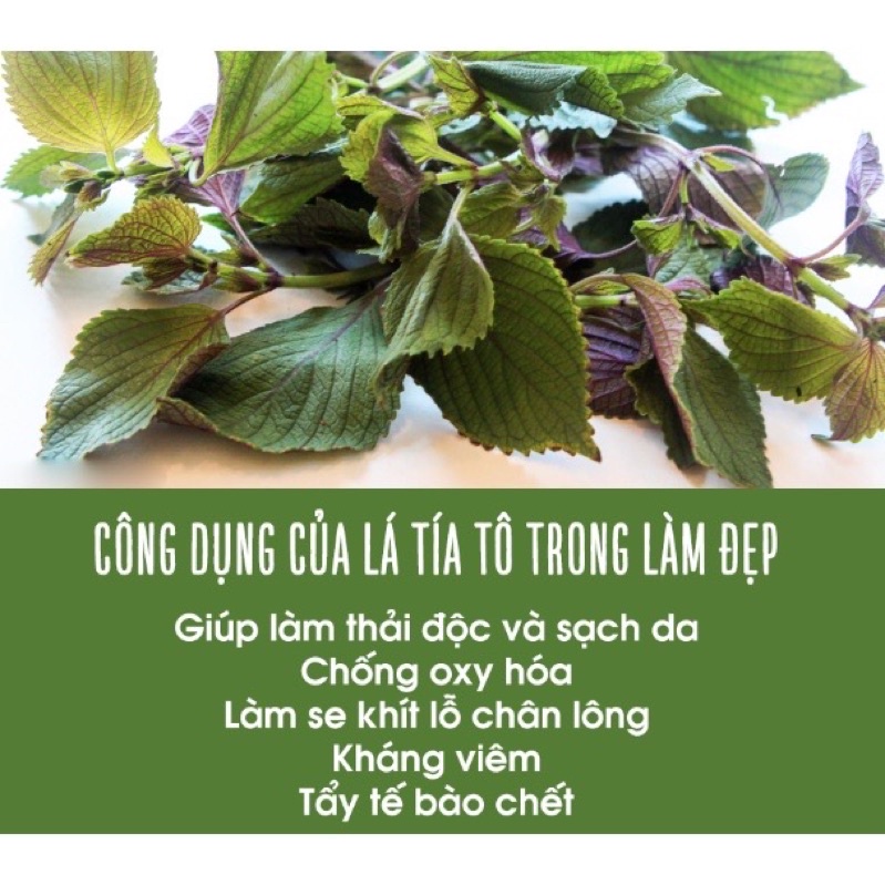 Bột Lá Tía Tô nguyên chất 100% Organic 100gr - Giảm mụn, mờ thâm nám, sáng da