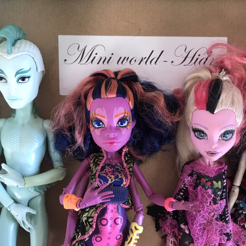 Búp bê MH eah ever after high chính hãng, full đồ monster high. Mã s38