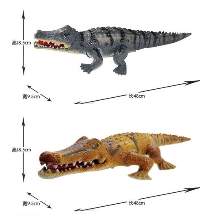 Cá sấu chạy bằng pin có đèn