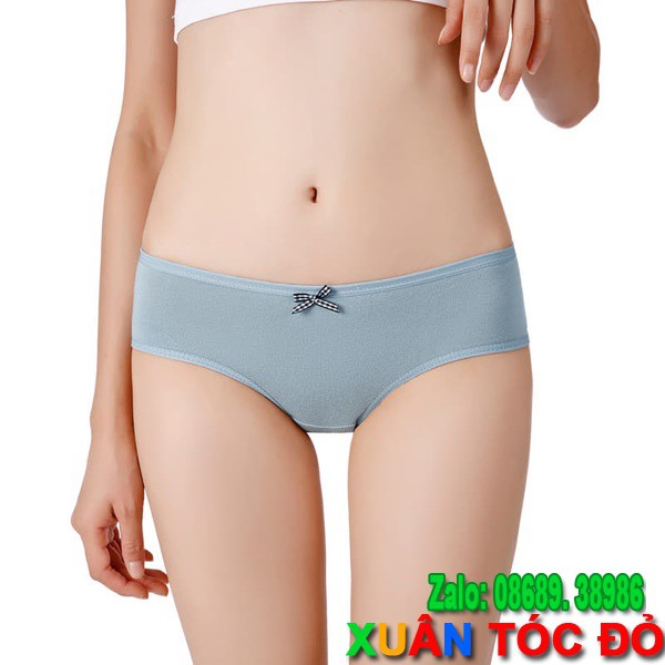 SỈ ZALO RẺ HƠN NHIỀU_ Quần Lót 5 Kiểu Cotton Xịn Mới Mẻ N039 (Vải Tốt, Đường May Đẹp) | BigBuy360 - bigbuy360.vn