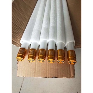 Bóng Đèn Tuýp Led T8 thuỷ tinh 30w hiệu Esnco dài 1m2 đầu nhôm vàng bảo hành 12 tháng