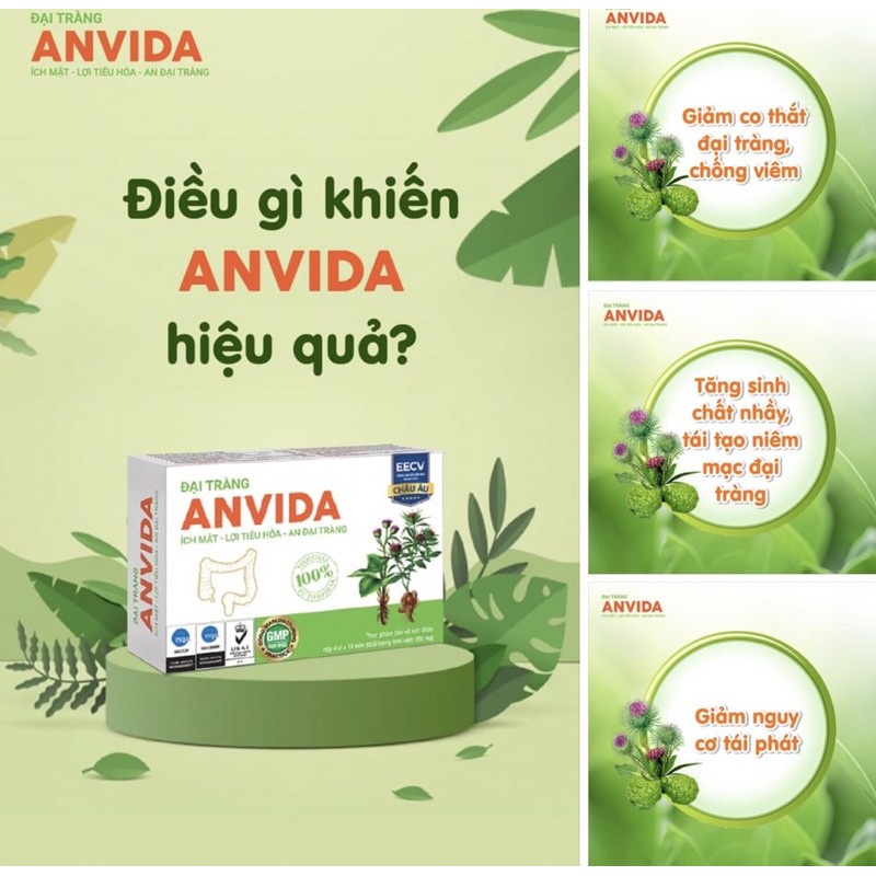 Anvida Đại Tràng Hộp 30 viên