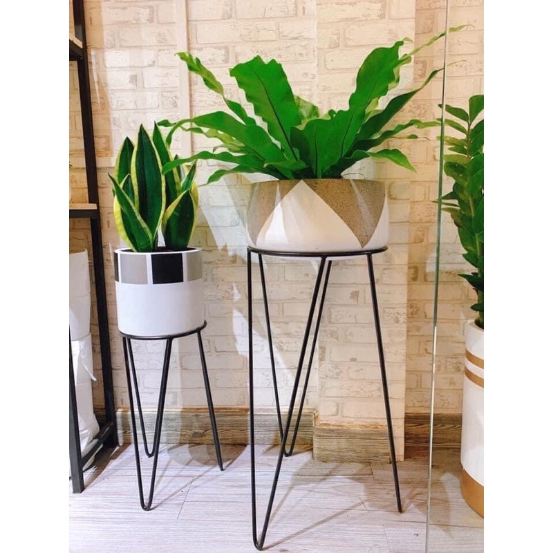 Kệ cây 3 chân