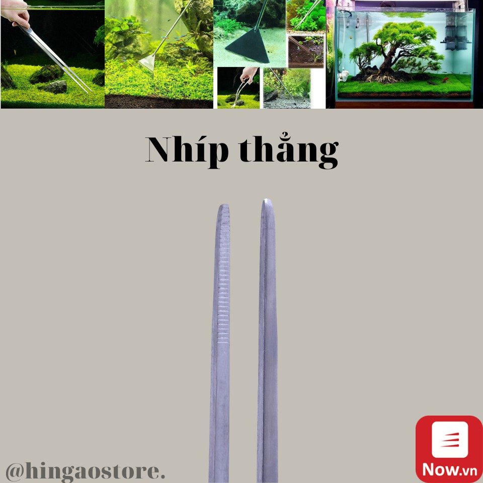 Nhíp Cong, Nhíp Thẳng, Cây Cạo Rêu - Phụ Kiện Thủy Sinh | Hingaostore.