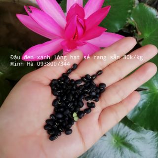 Đậu đen xanh lòng hạt nhỏ rang sẵn 1kg