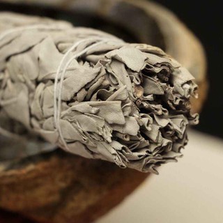 Bó Xô Thơm Trắng Xông Phòng ( White Sage ) dài 18cm/ nặng 80 gram.