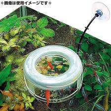 Nisso Food Keeper  - Dụng cụ cố định thức ăn cho cá