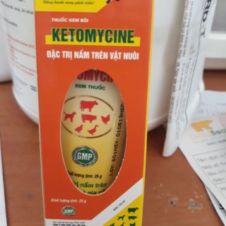 Kem trị nấm cho chó