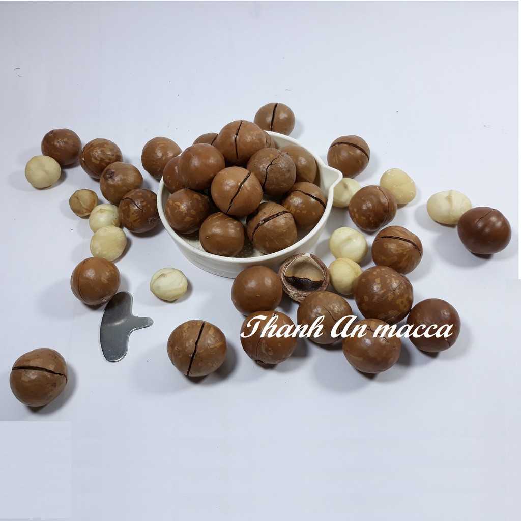Thanh An Macca Sạch 500gr Size Nhỏ, Sấy Nứt Vỏ Lâm Đồng, Macadamia Kèm Lẫy | BigBuy360 - bigbuy360.vn