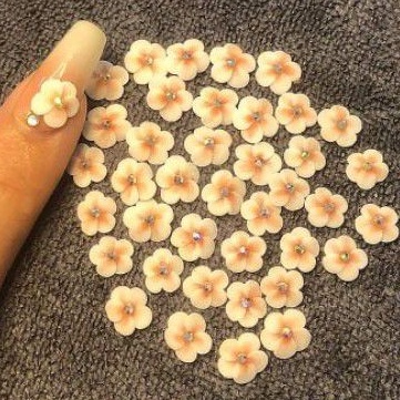 Hoa mai 5 cánh -hoa bột nail