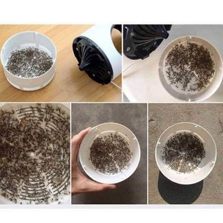 máy bắt muỗi