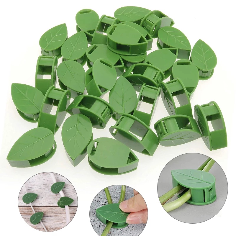 Set 10 Kẹp Cố Định Cây Leo Treo Tường Vô Hình Tiện Dụng