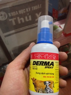 Xịt ngoài da sát trùng vết thương Derma Spray 100ml