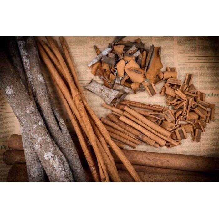 TINH DẦU QUẾ NGUYÊN CHẤT khử mùi thơm phòng 100ml ☘☘☘