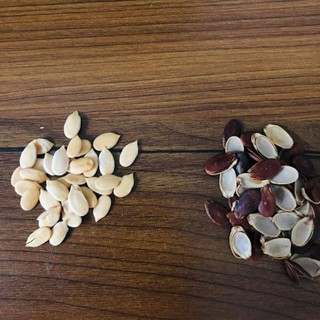 GÓI 500gr HẠT DƯA RANG CỦI TRƯỜNG ĐẠT