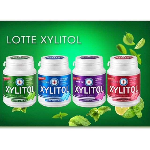 Kẹo Cao Su / Kẹo Gum Không Đường Xylitol 58gr Đủ Vị