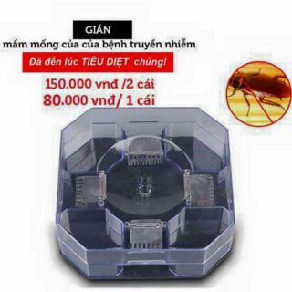Thiết bị Bắt gián