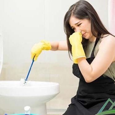 Nước Tẩy Rửa Bồn Cầu Vệ Sinh Denkmit Có 3 Loại Mùi Hương Giúp Đánh Bay Mọi Vết Bẩn Dung Tích 750ml