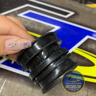 CO PÔ E SPORT LỚN - RGV