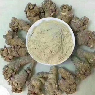 500gr Tam thất bắc (simacai lào cai )