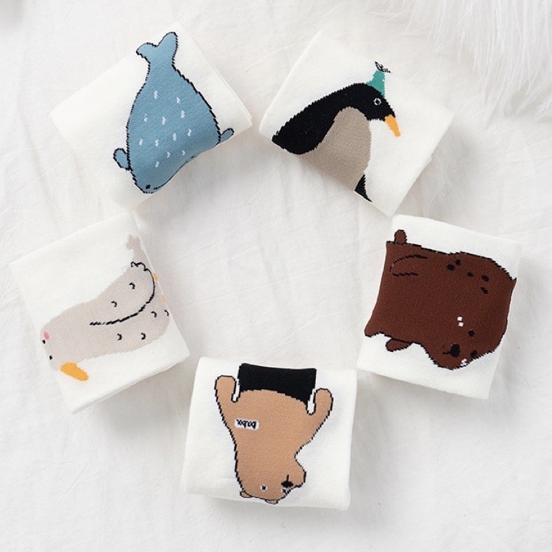 Tất nữ thấp cổ hoạ tiết các bạn thú chất liệu cotton cao cấp