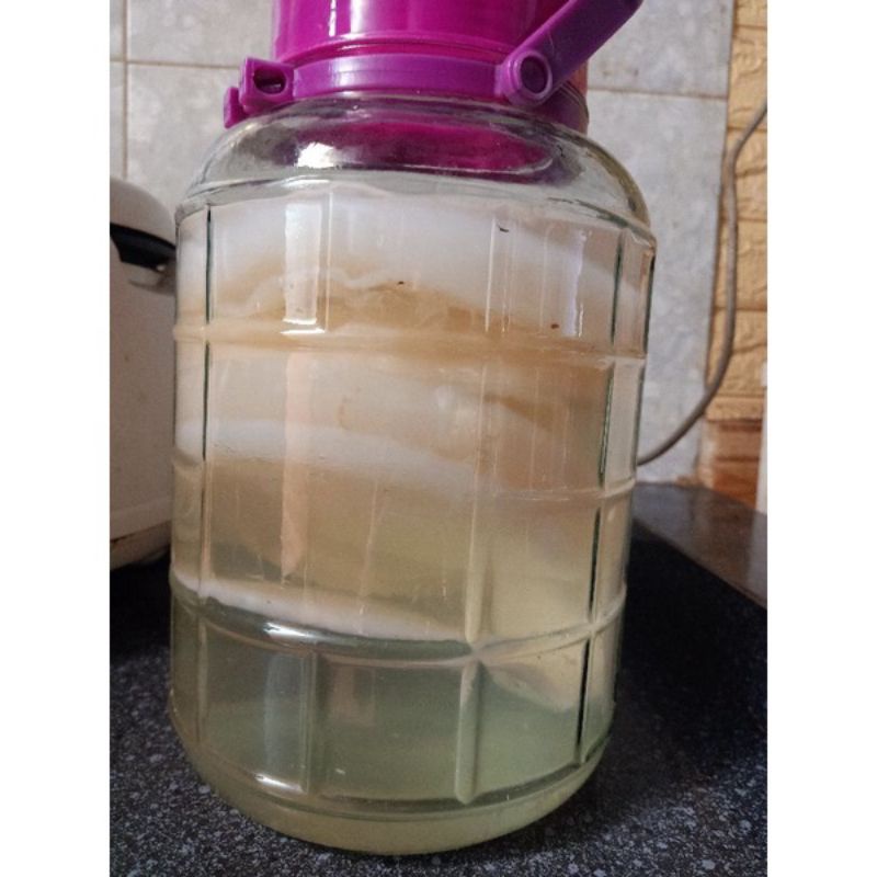 Nước giấm nuôi nhà làm