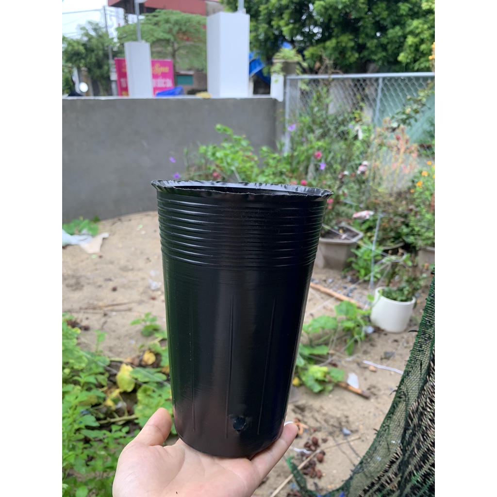 BẦU ƯƠM CÂY GIỐNG MÃ C15 (VIÊN NÉN XƠ DỪA, BẠT PHỦ ĐẤT CHỐNG CỎ, KEO LIỀN SẸO CÂY...)