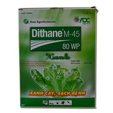 Thối Nhũn Lan Dithane M45 100gr