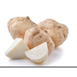 Củ Sắn ( Củ Đậu) Mới Về Giao Nhanh HCM