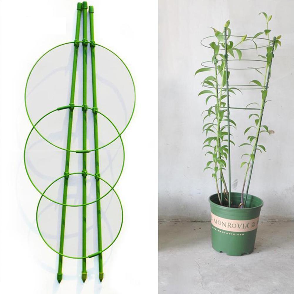 Giá Đỡ Hỗ Trợ Trồng Cây Dây Leo H5Q8