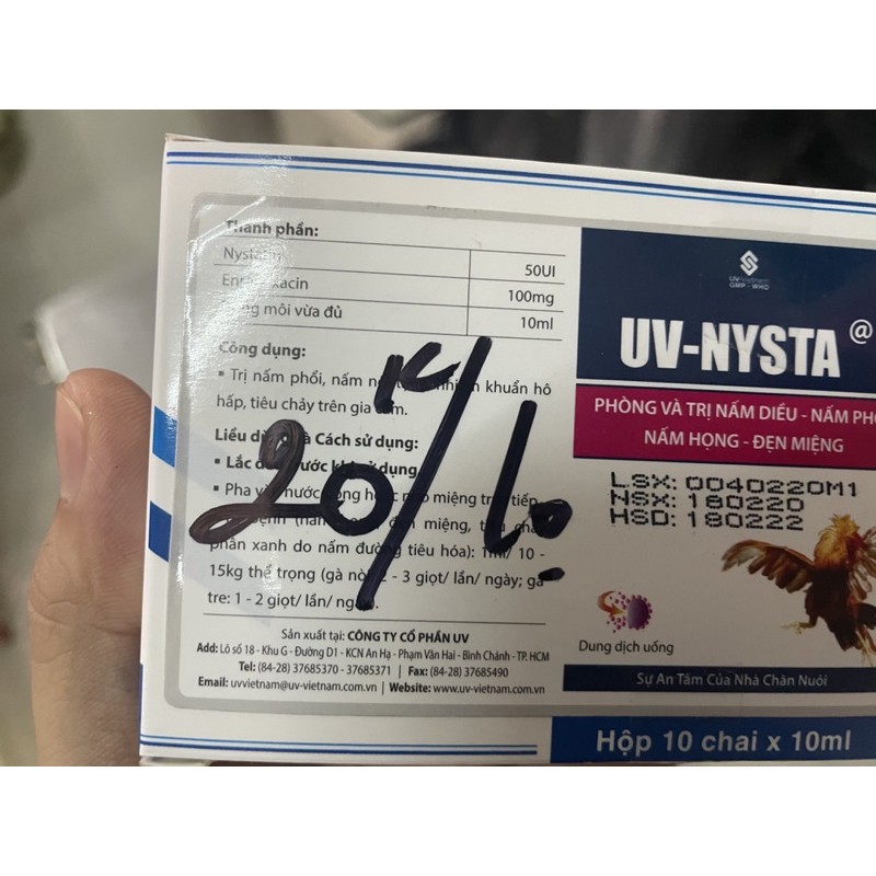 Dung dịch UV NYSTA uống tác dụng nấm cho chim/gà