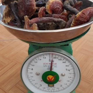 Nấm Lim Xanh 100gr