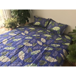 Chăn Hè Mền Trần Bông 3 Lớp (Dũng sài gòn mẫu CH02)