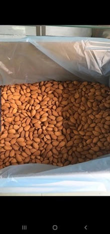 Hạnh nhân lõi tươi làm sữa