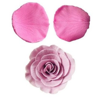 Khuôn ép gân cánh hoa hông