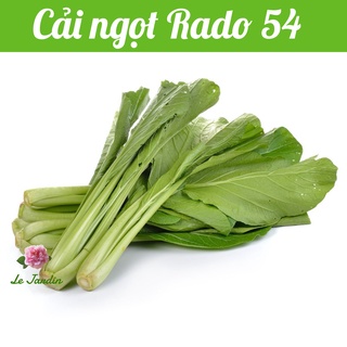 Hạt giống cải ngọt rado 54 gói 20gr - dễ trồng