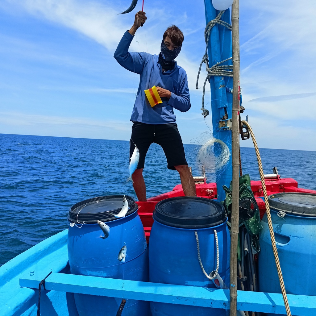 Sabiki, lưỡi lông kim tuyến, lưỡi nhán lông cá trát, nục, bè chang...