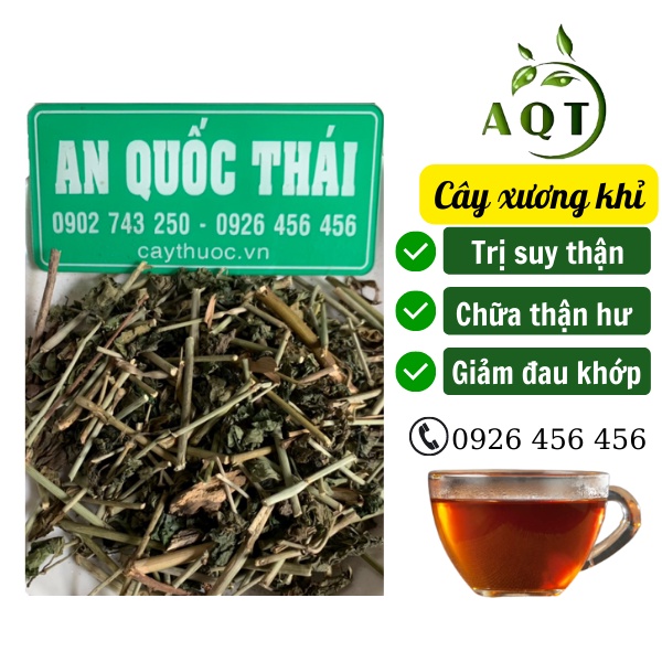 1KG Cây Xương Khỉ Khô (Bìm Bịp, Mảnh Cộng) Ngừa Ung Thư, Mau Liền Xương