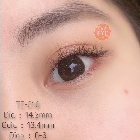 [OFF 50%: 125K/Đôi] 5 mẫu kính áp tròng nâu tự nhiên Tinteye Lens 0 - 8 độ