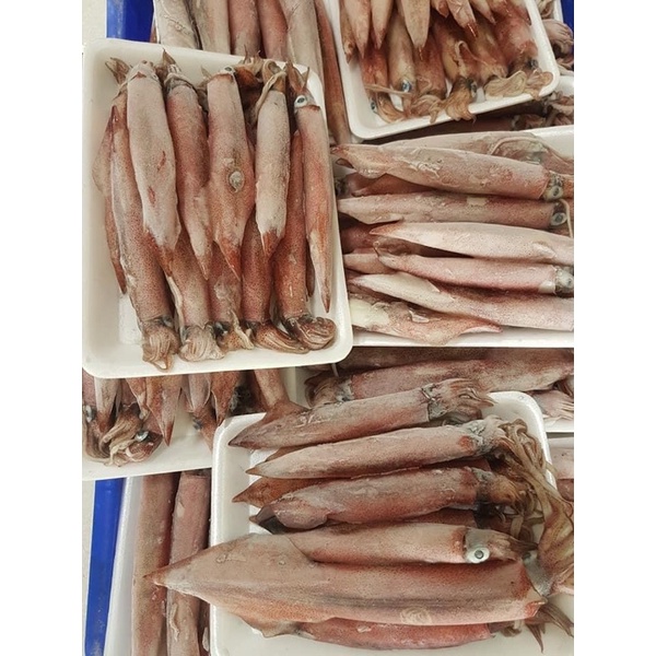 Mực ghim trứng loại B giòn ngon khay 1kg-DTFoods