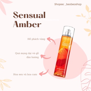 Xịt thơm bodymist Bath & Body Works Sensual Amber - 236ml