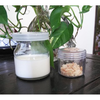 Men khô - Men tươi sữa chua Viili