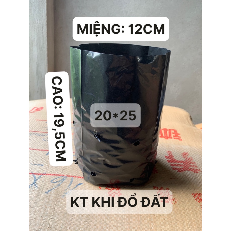 1KG TÚI ƯƠM CÂY MÃ 20*25 ( KÍCH RỄ, MẦM CÂY XANH LÁ, DỊCH TRUYỀN CHO CÂY, BẠT CỎ...)