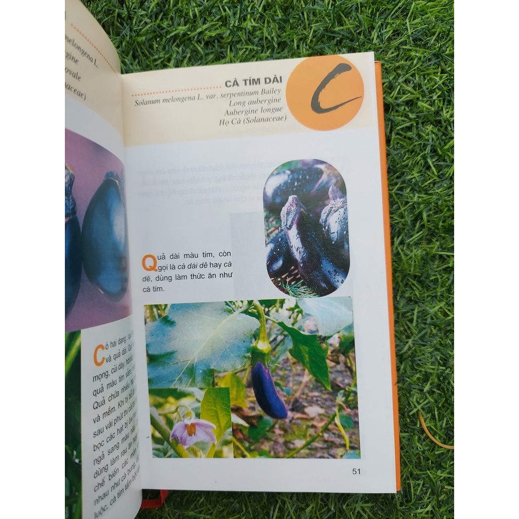 Sách Từ Điển Tranh Về Các Loại Củ, Quả