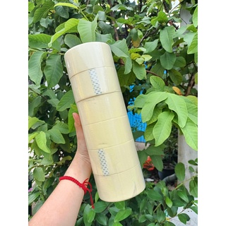 Băng Keo Giấy 1F2, 2F4,4F8 - CUỘN