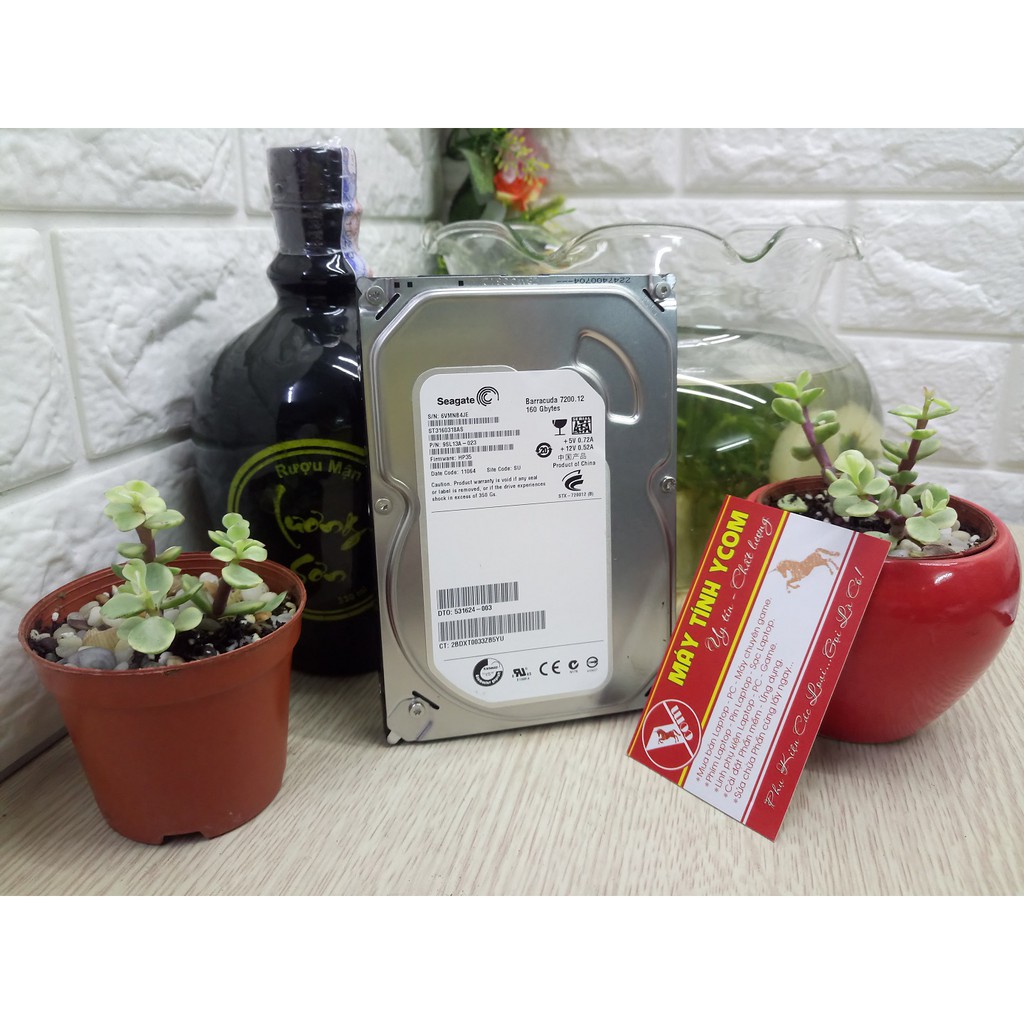 Ổ Cứng HDD 160GB Có Sẵn Win | BigBuy360 - bigbuy360.vn