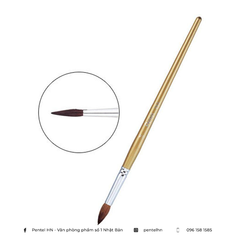 Cọ Màu Nước Pentel ZBS1 | Đầu Cọ Mềm Mượt | Nhiều Kích Cỡ Khác Nhau