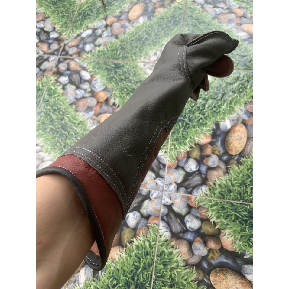 Găng chim săn mồi 2 lớp dài 40cm dùng cho đại bàng