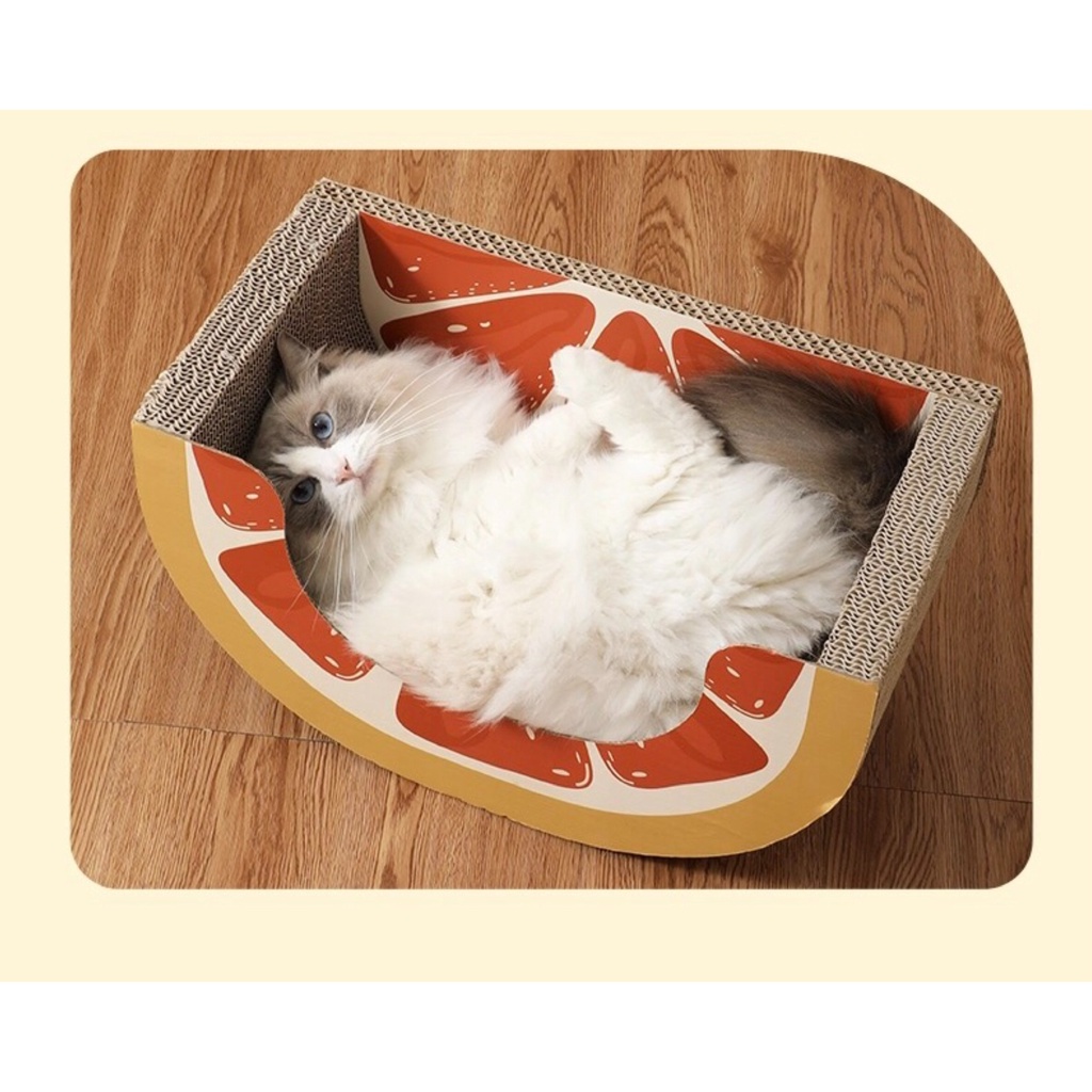 [Must try]Cào móng kết hợp ổ nằm cho mèo hình cam và dưa hấu
